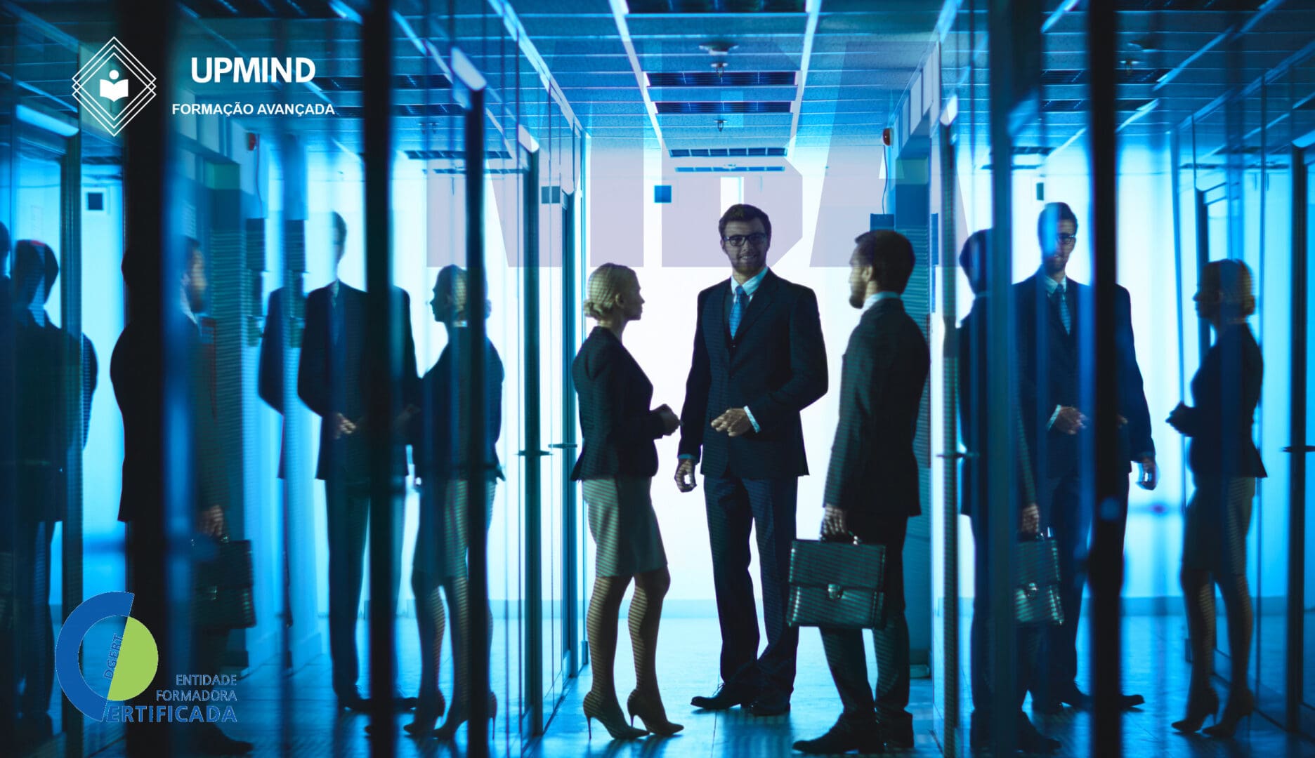 Gestão e Organização de Empresas